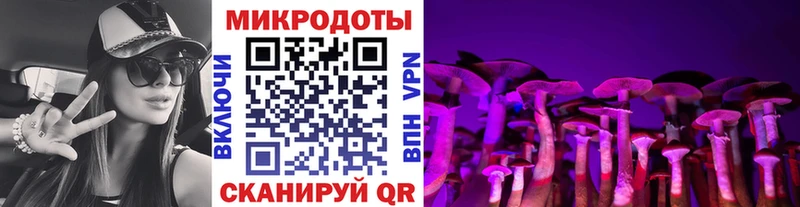 Купить закладки  Кудрово  Галлюциногенные грибы Magic Shrooms 