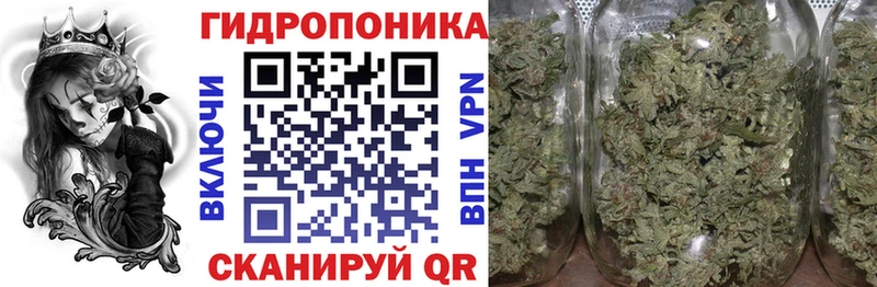Купить где  Кудрово  Каннабис планчик 